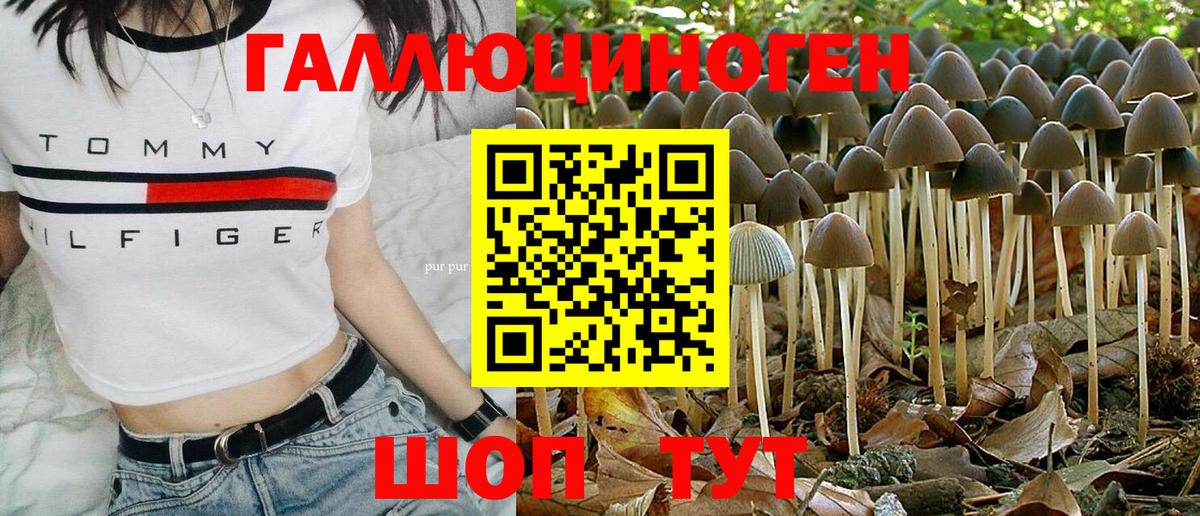 Минеральные Воды  Псилоцибиновые грибы мухоморы  что такое наркотик  Вход с VPN 