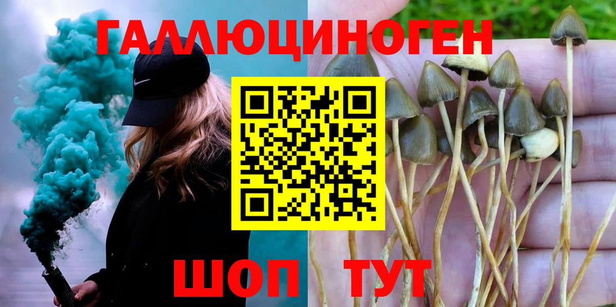 Галлюциногенные грибы Magic Shrooms Минеральные Воды